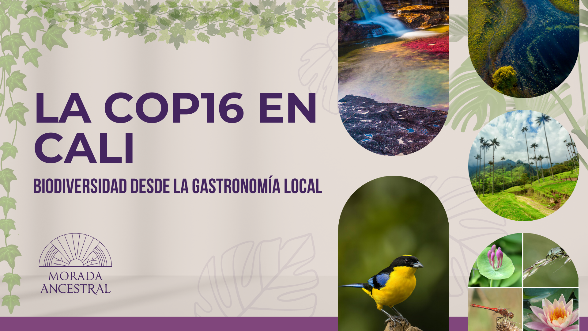 La COP16 en Cali