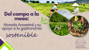 Del campo a la mesa Morada Ancestral y su apoyo a la gastronomía sostenible