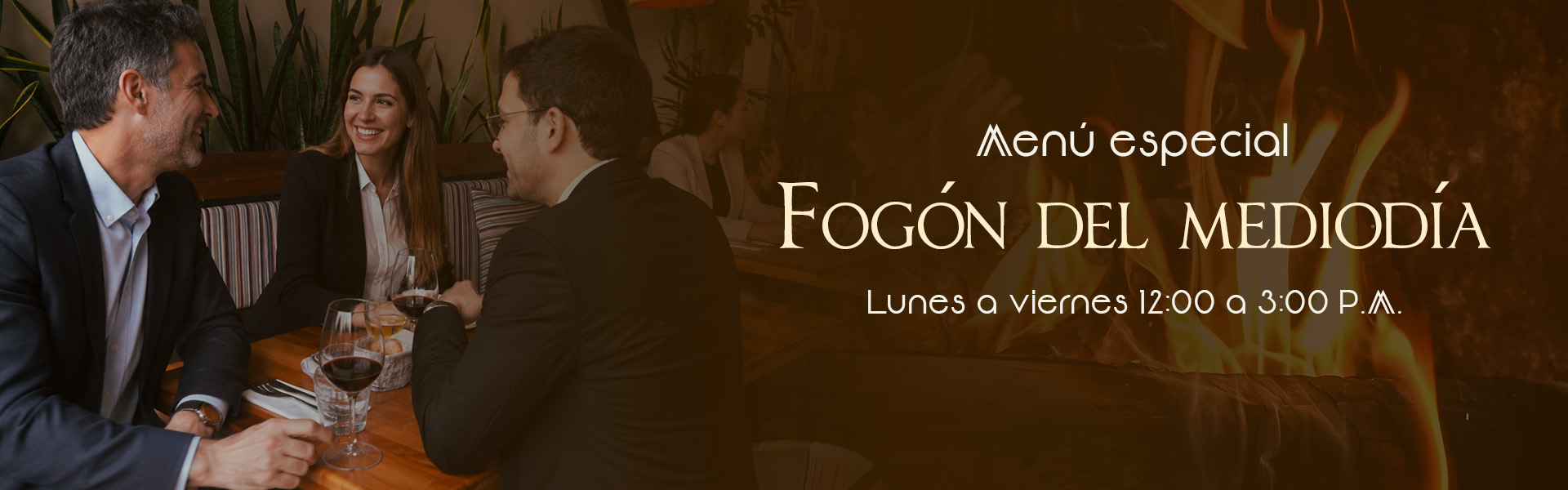 banner desk FOGON DEL MEDIODIA